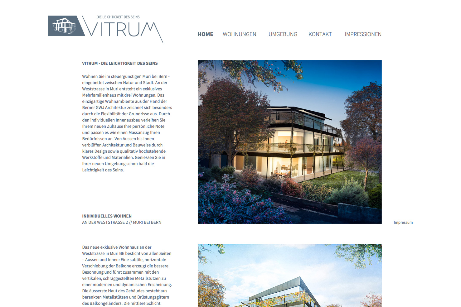 Bild 1 vom Vitrum Webseite